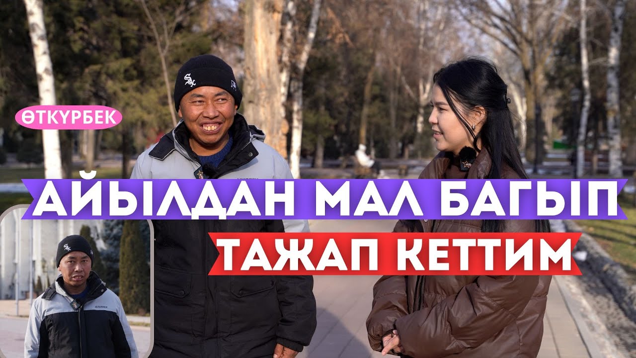 230сом алып мал баккан Өткүрбек