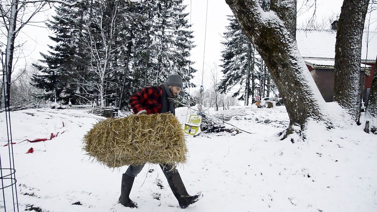 LIFE ON A NORWEGIAN FARM