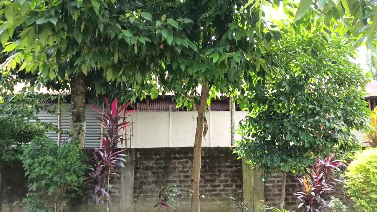 MH