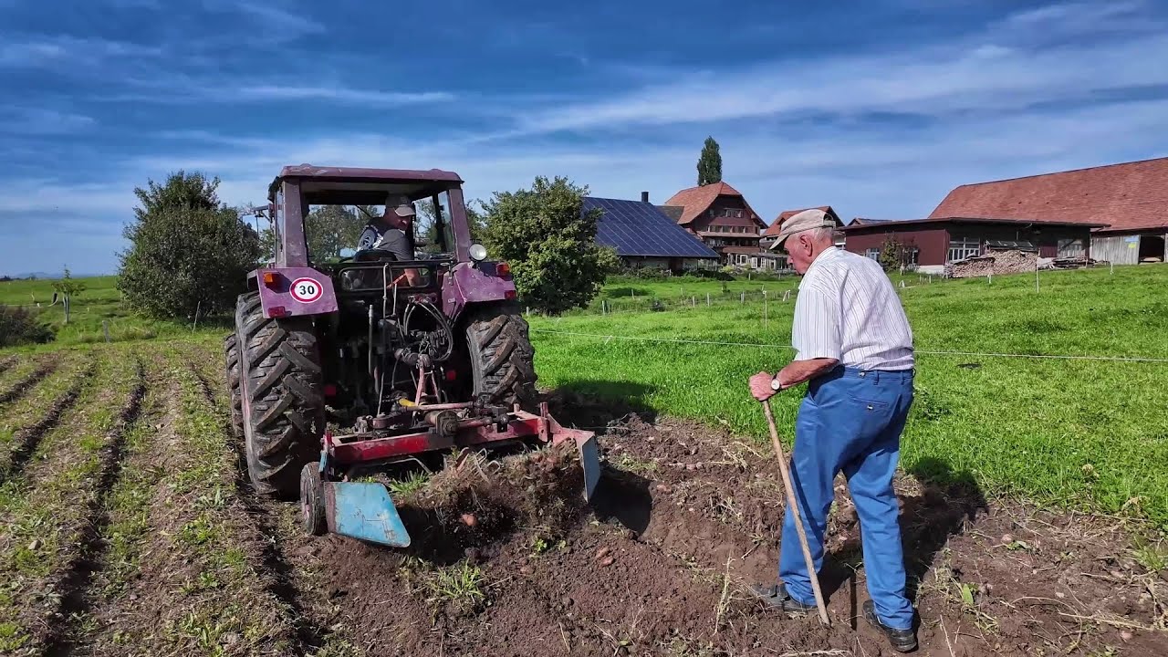 Копаємо КАРТОПЛЮ з ДІДОМ та ШЕФОМ, чи вродила в ГОРАХ? УКРАЇНЕЦЬ на Фермі у Швейцарії