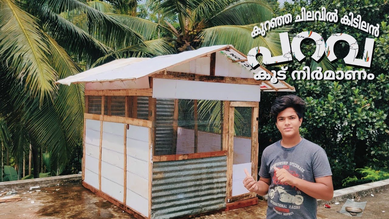 എന്റെ പുതിയ പറവ ഷെഡ്. new Highflyer pigeon loft