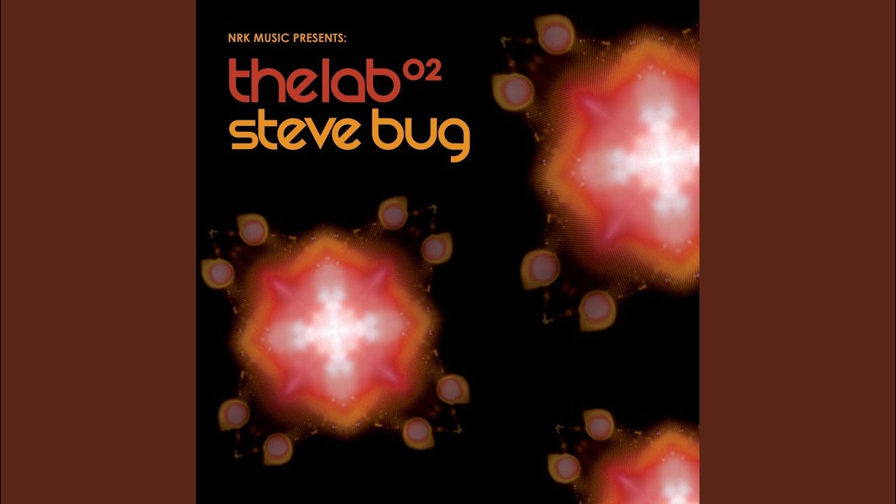 Steve Bug Continuous Mix 01