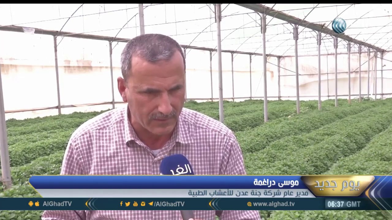 يوم جديد | زراعة الأعشاب الطبية في فلسطين