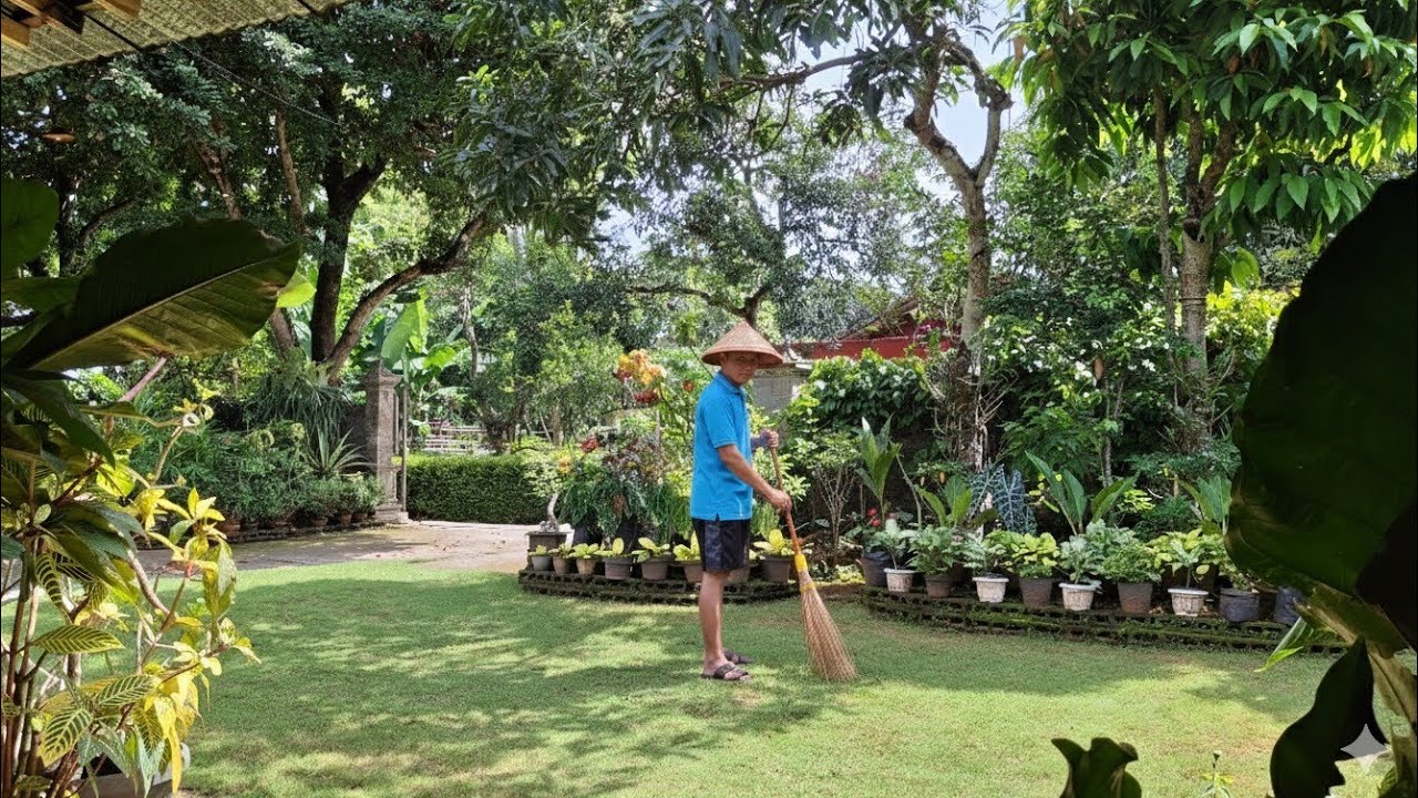 Wow..Semakin asri rumah Mbah Uti Mino bikin Tahun Baru 2026 semakin happy rumput hijau full Tanhias 