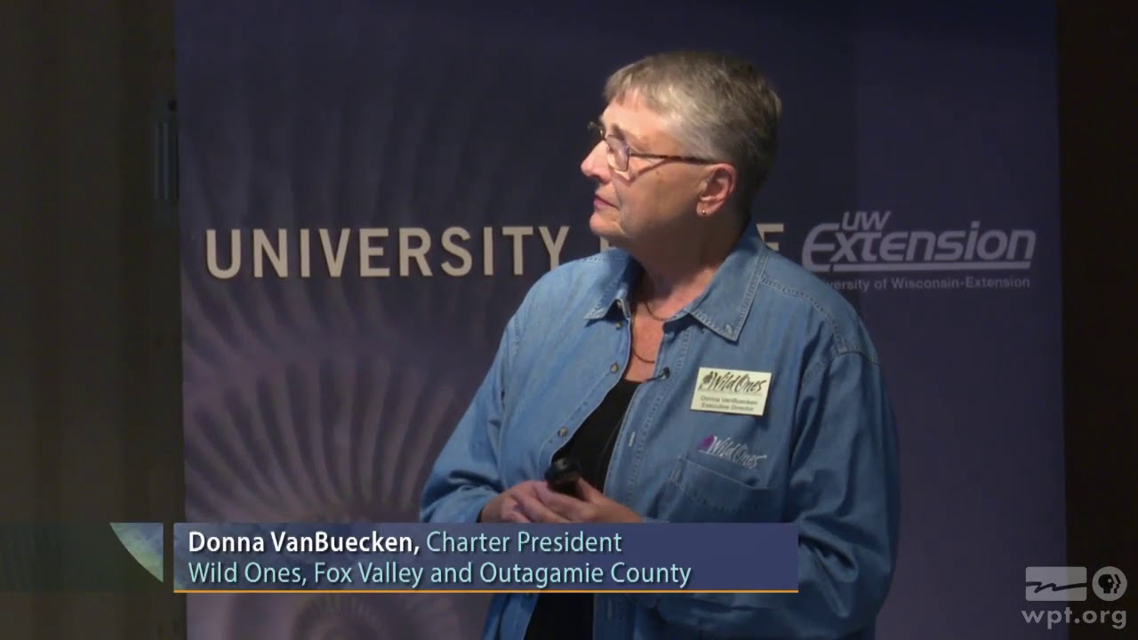 Landscaping with Native Plants | University Place