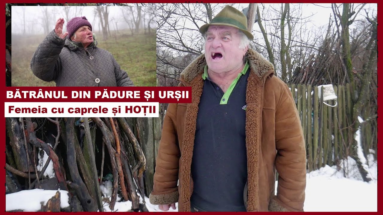 ROMÂNIA REALĂ 🔴 Bătrânul din pădure și iarna | Viața cu URȘII la poartă + Femeia cu CAPRELE și HOȚII