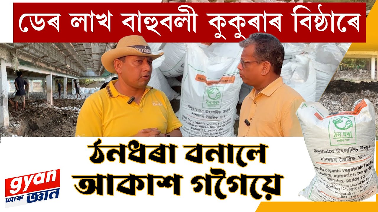 মুৰ্গীৰ বিষ্ঠাৰে ভাৰতত নকৰা কাম কৰিলে আকাশ গগৈয়ে