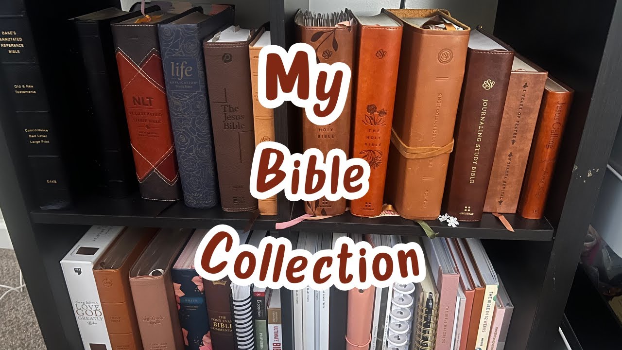 Bible Collection ( Study & Journaling Bibles)