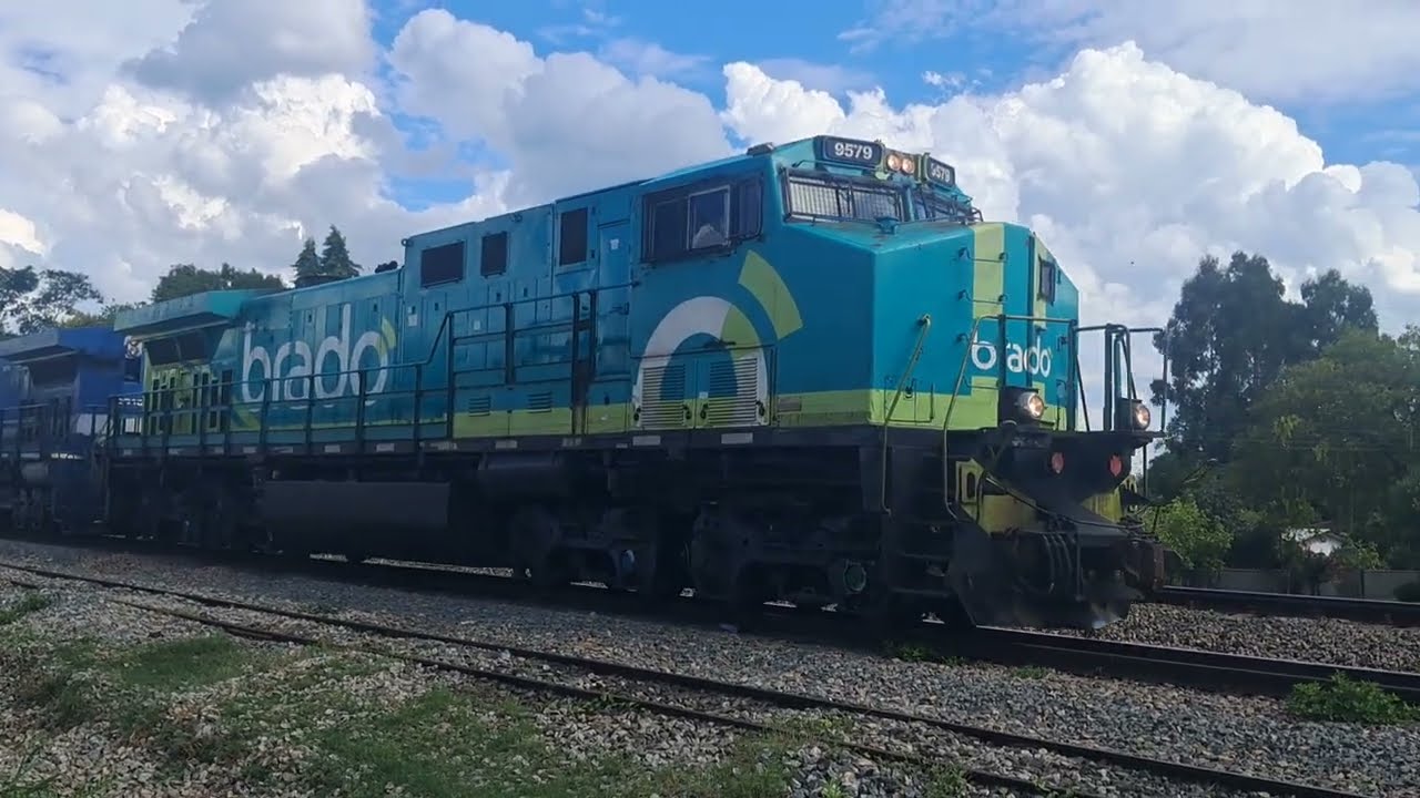 Train stopping in the yard