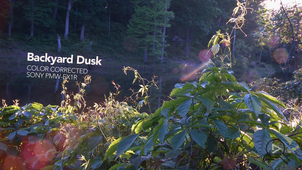 Sony PMW EX1R Sample Footage - Backyard Dusk | The Ugly Chair