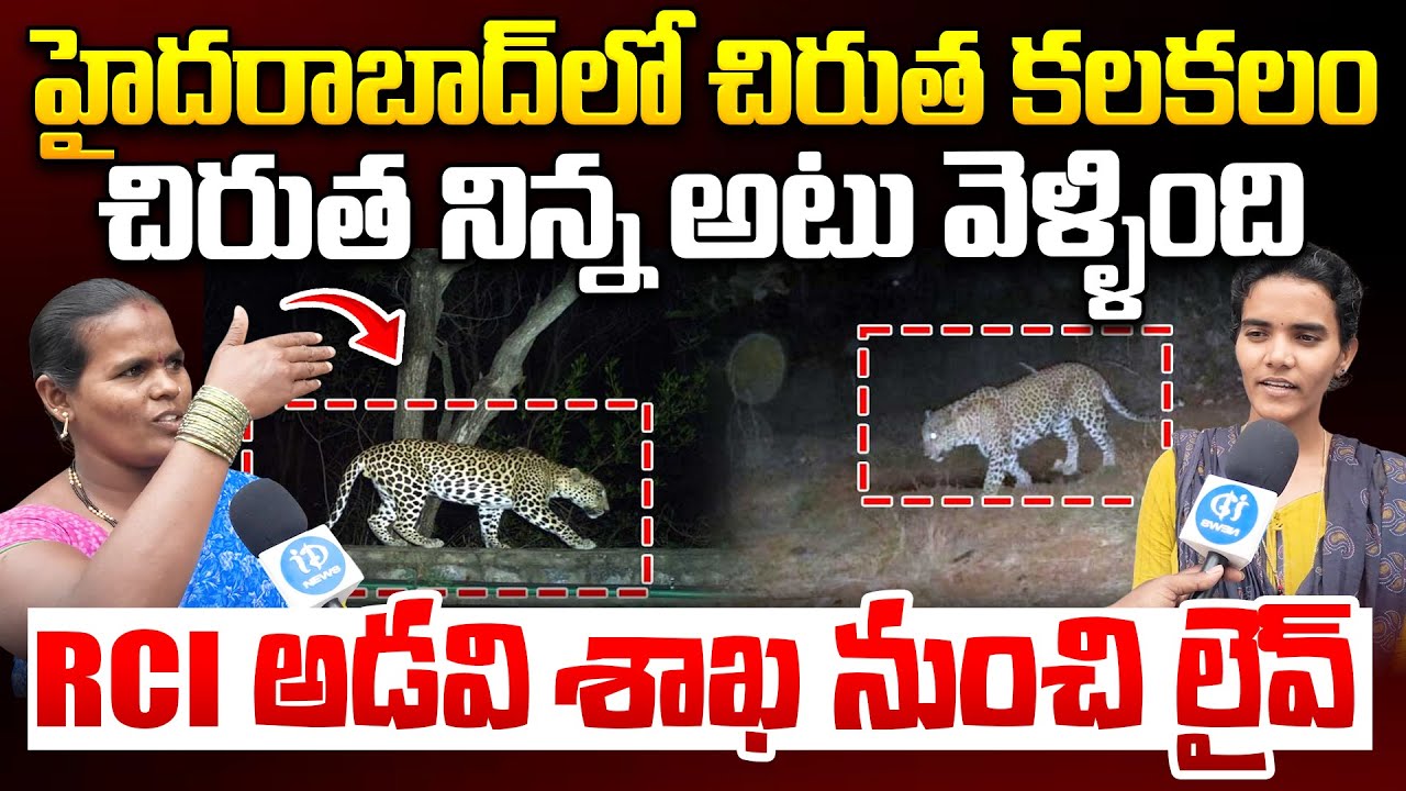 Chirutha at Hyderabad Latest news RCI Forest LIVE | People Who See Cheetah Ground Report Hyderabad