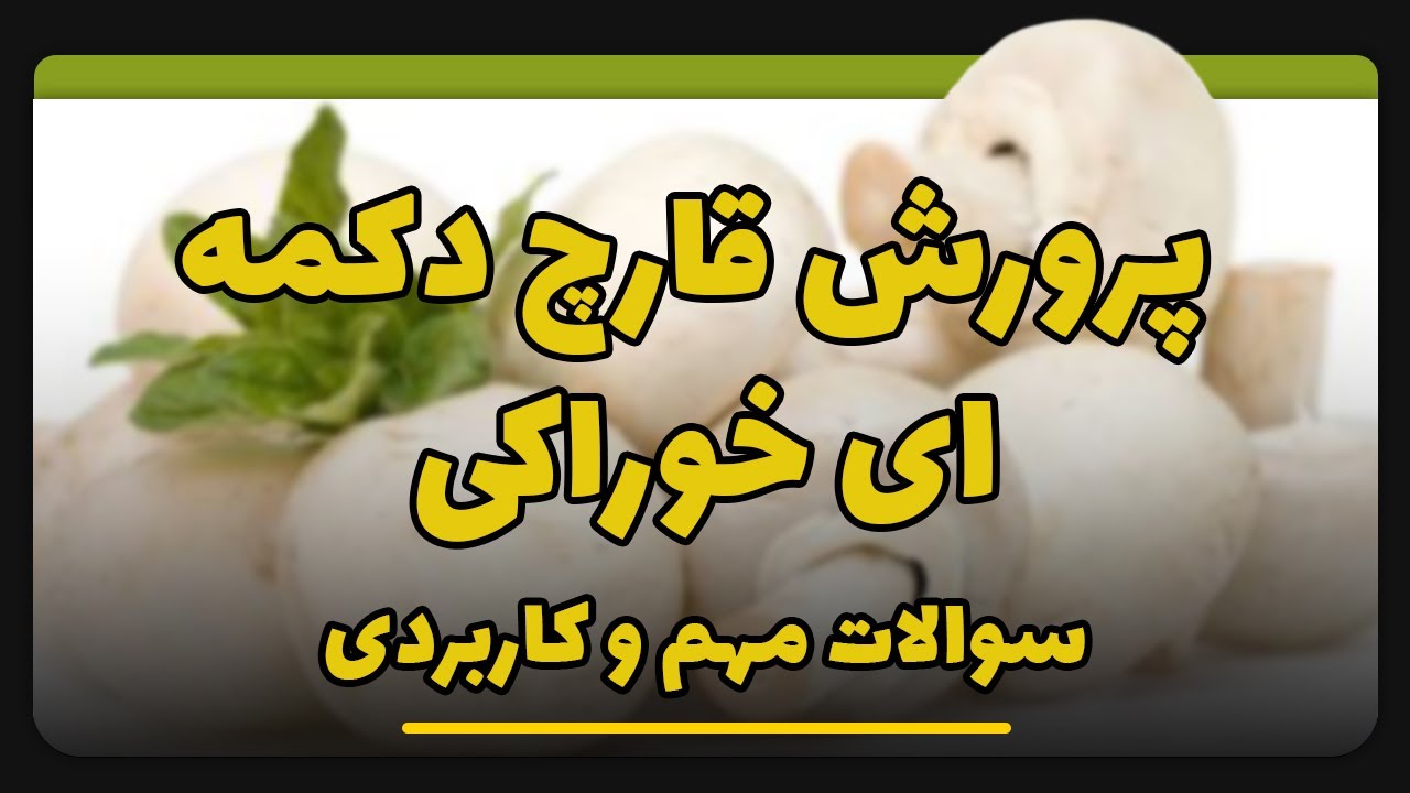 سوالات مهم و کاربردی در پرورش قارچ دکمه ای خوراکی