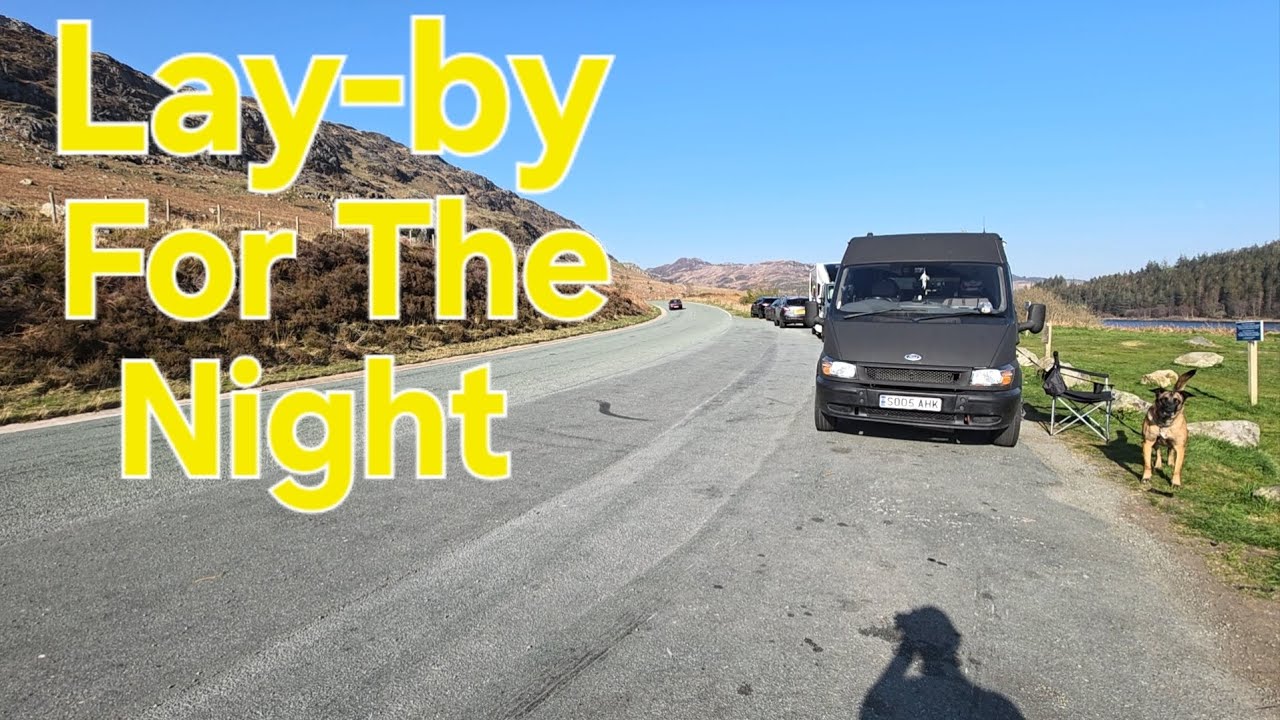 Parking in a Lay-by / Belgian Malinois