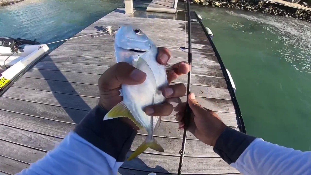 Ep#12- Jetty fishing with crazy little soft lure- Mauritius