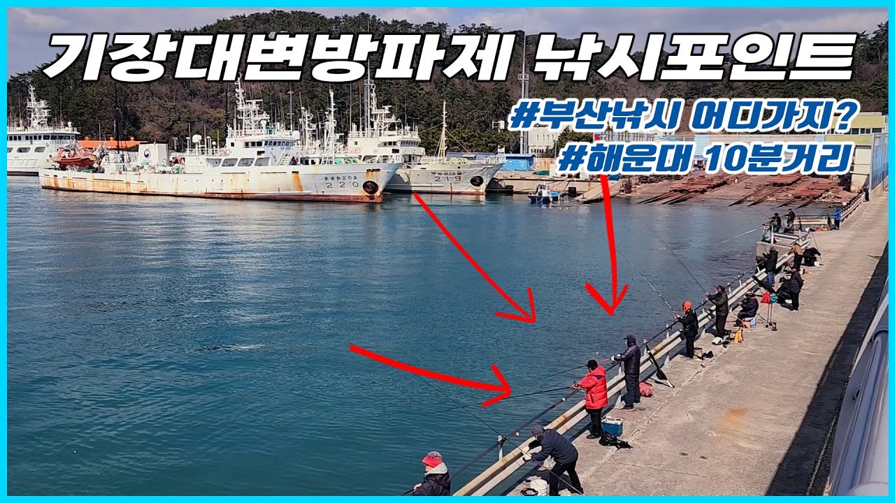 부산 기장대변방파제 낚시포인트를 소개합니다. 발판 좋은 가족낚시터 포인트 확인하고 가세요! [전국낚시포인트소개]