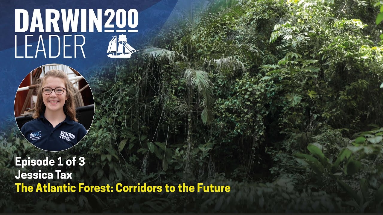 Atlantic Rainforest, Corridors to the Future - Jessica Tax - Episode 1