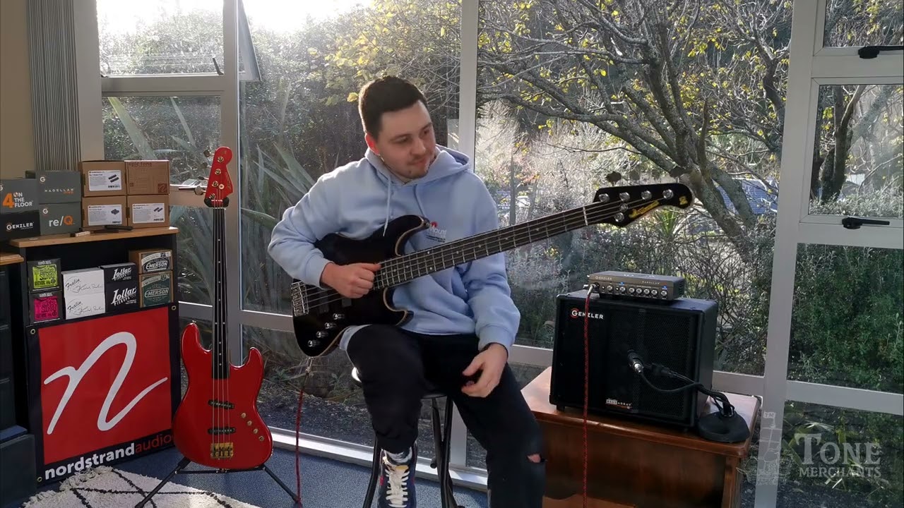 Genzler Magellan 350 Combo