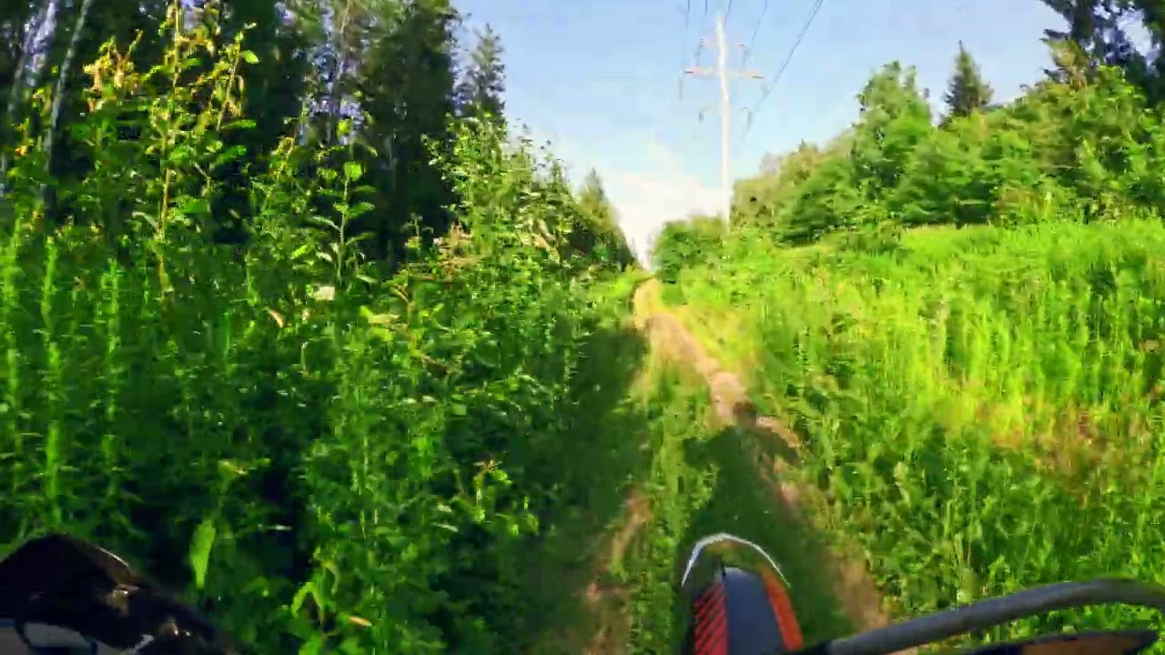Колодищи Эндуро