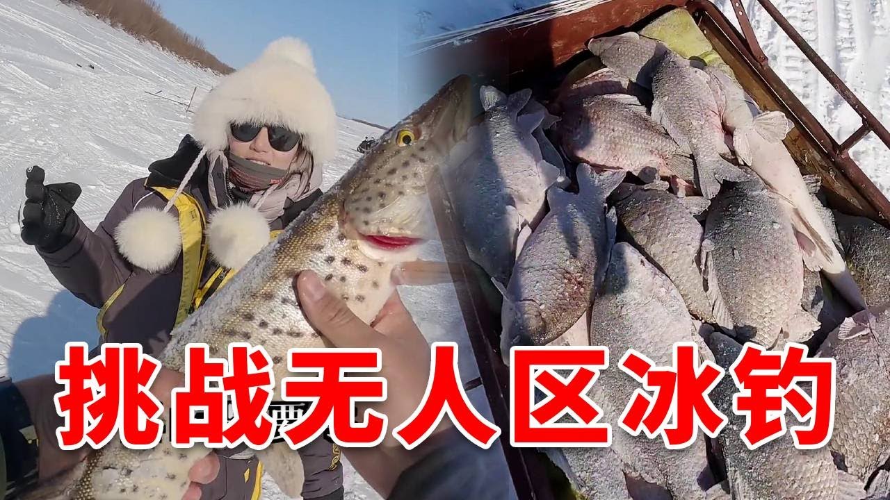 在俄羅斯無人區挑戰冰釣！幾個小時連桿中魚，簡直是冰釣天堂