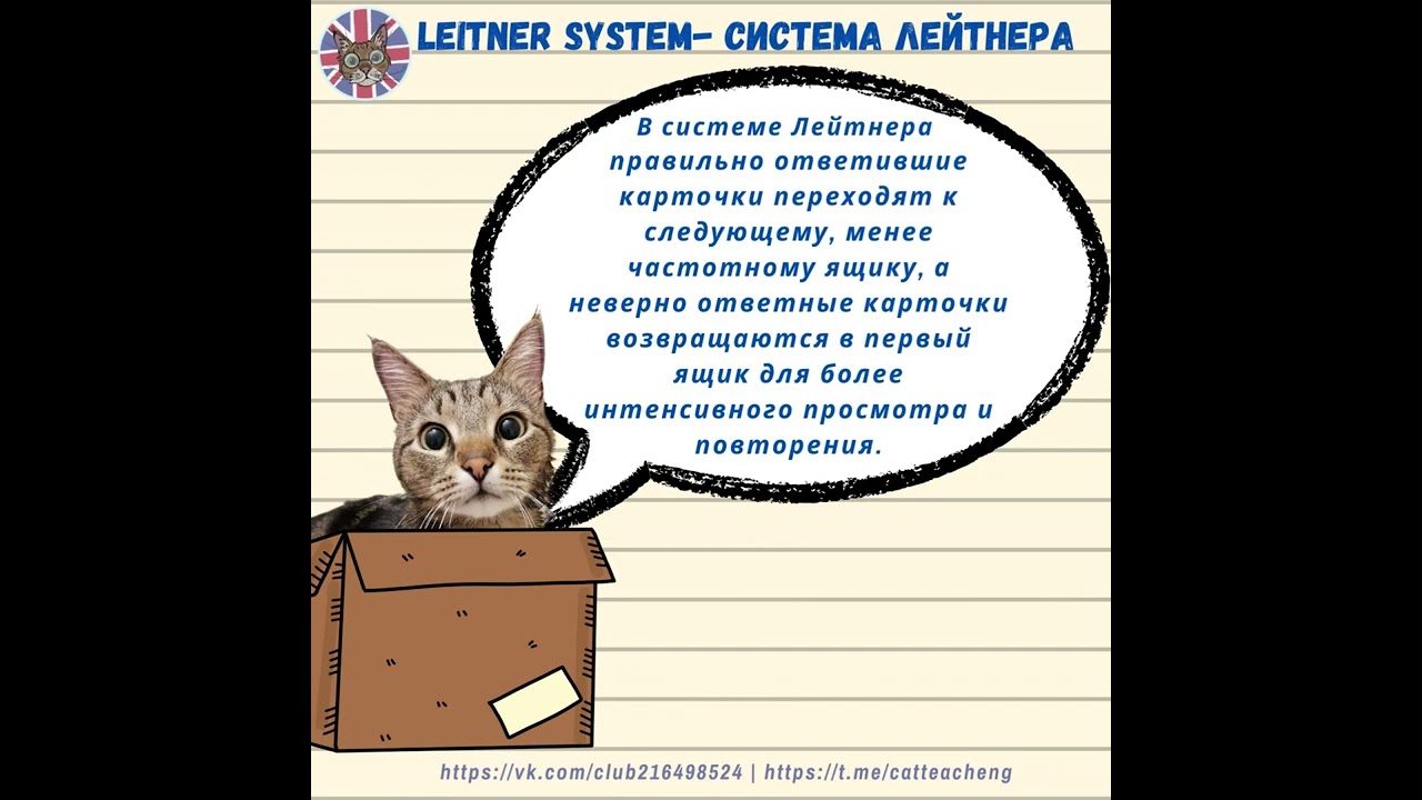 Система Leitner: как повысить память и обучение #studytechniques #эффективноеобучение #studymethods