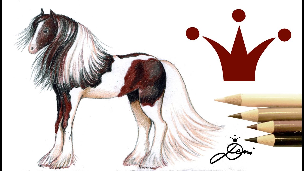 Tinker zeichnen 🐎 Wie zeichnet man ein Pferd 🐎 How to draw a horse - Pferd malen