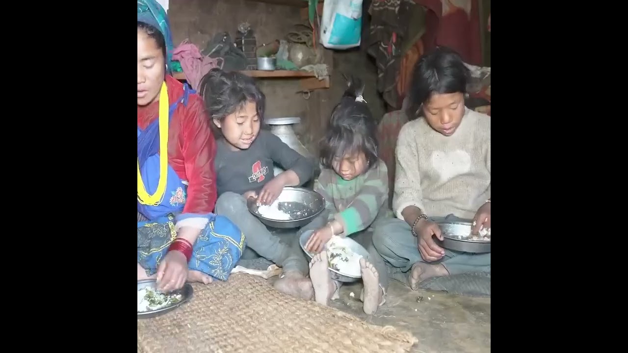 Highland harvesting #cooking #viral #food #harvesting #trending 