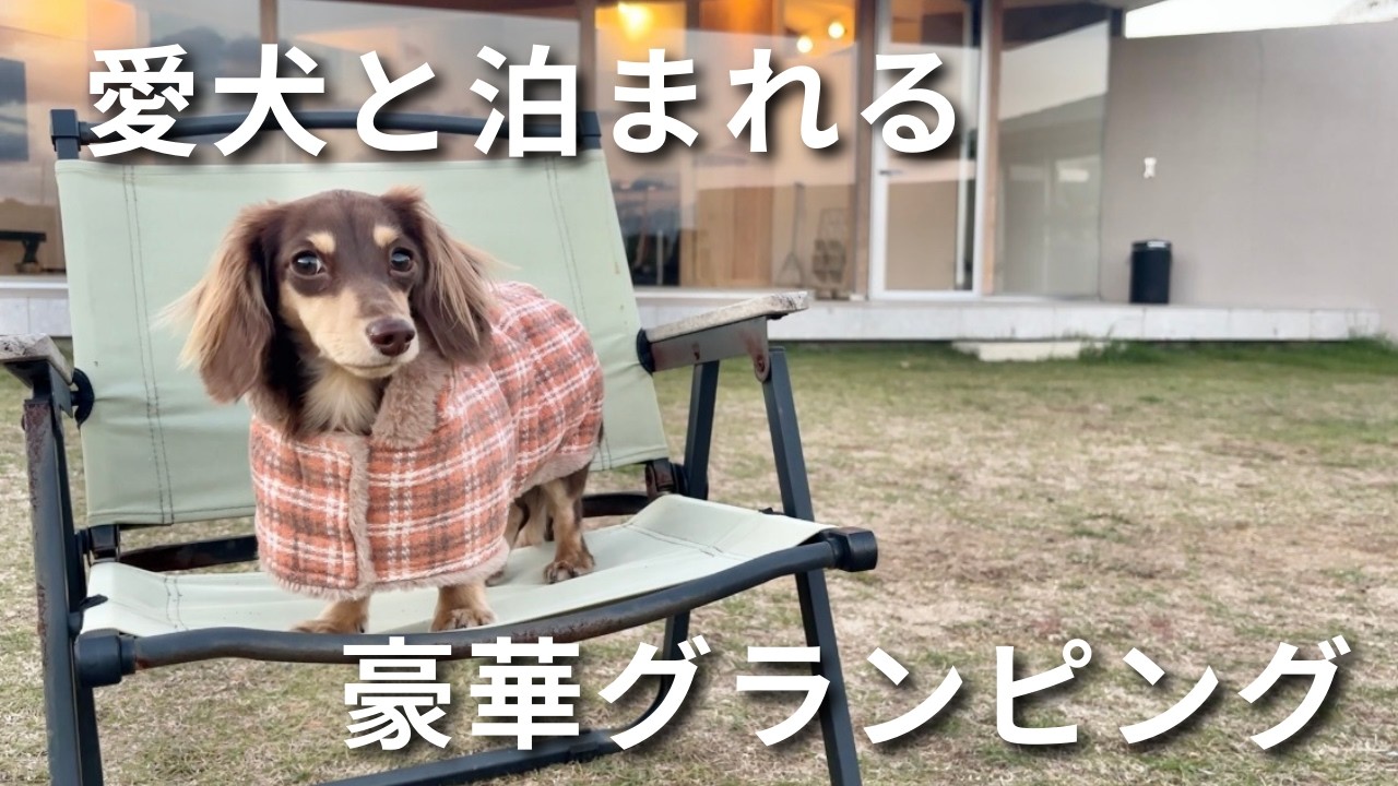 愛犬とサウナ付きグランピングに泊まってみたら最高すぎた