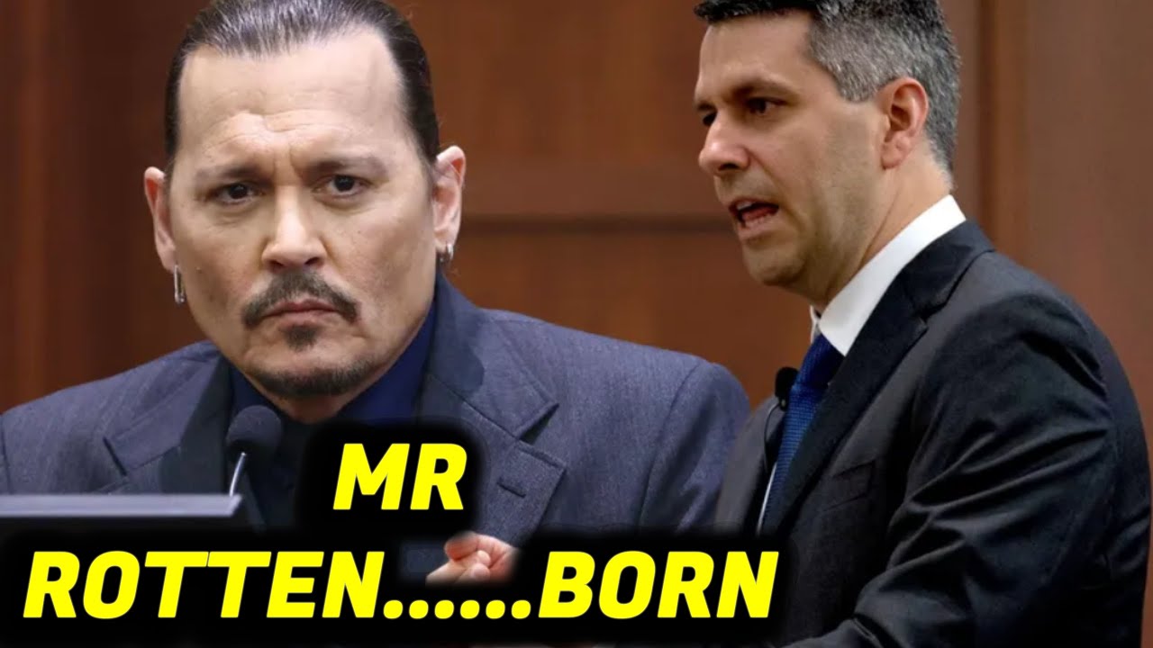 Johnny Depp VS Amber Heard's Lawyer Rottenborn Is HILARIOUS