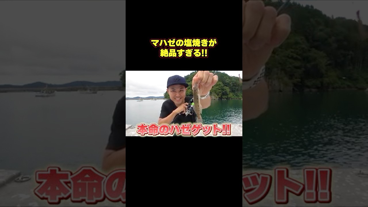 釣ったハゼを七輪で焼いたら極上でした！#釣り#料理 #アナハゼティ #shorts
