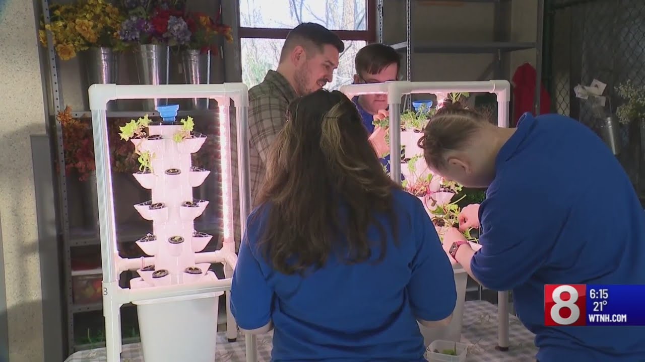 What's Right With Schools: Students of all abilities exercise creative learning in Windsor