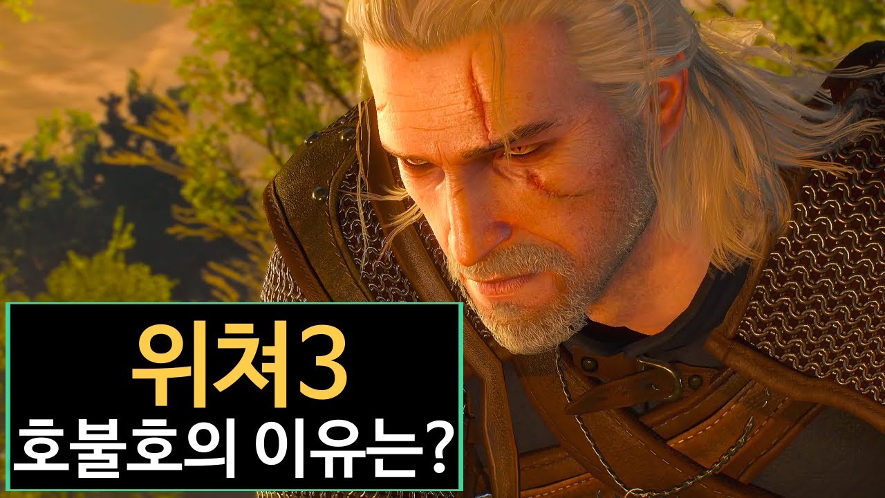 위쳐3의 호불호는 어디서 비롯되었는가?