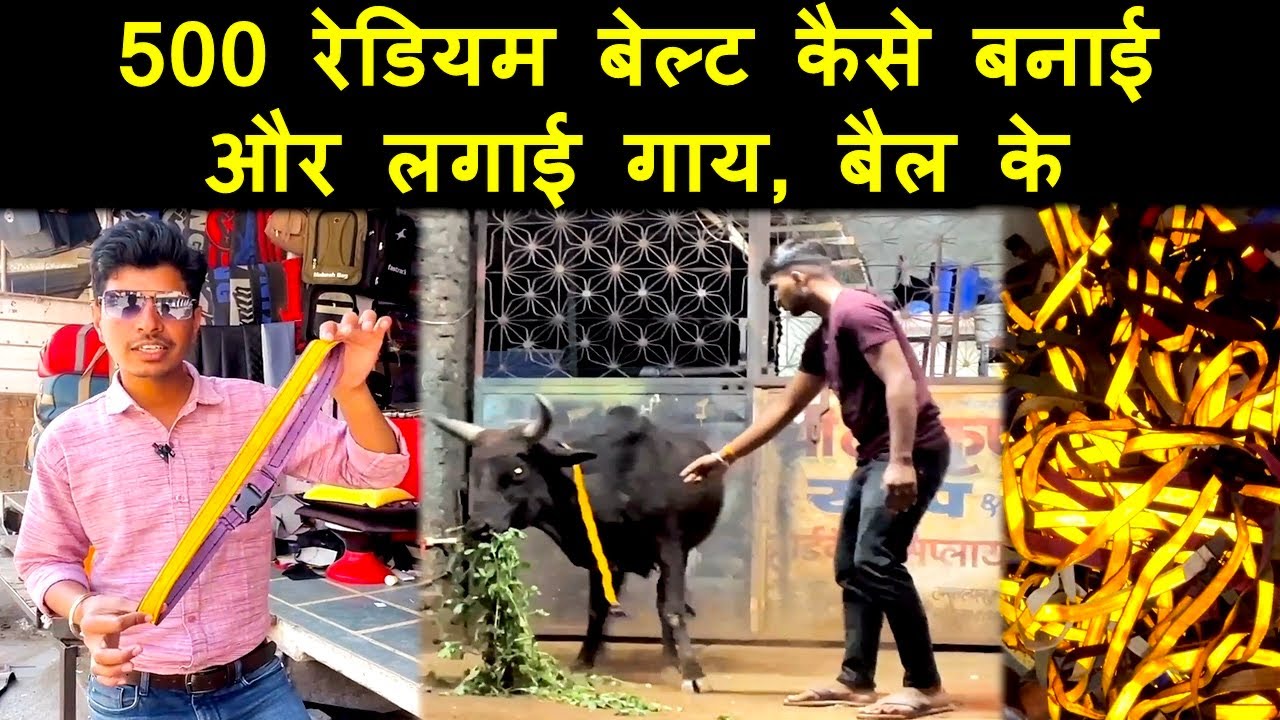 गायों और बैलों के लिए रेडियम बेल्ट कैसे बनाए और लगाए | Radium Belt For Cow & Street Dog | RoadSafety