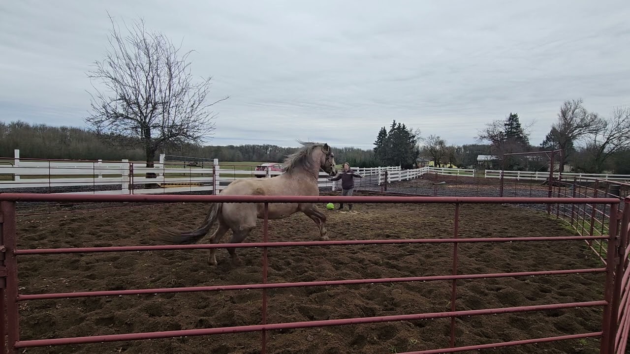 Working with Caliente on the line and at liberty.