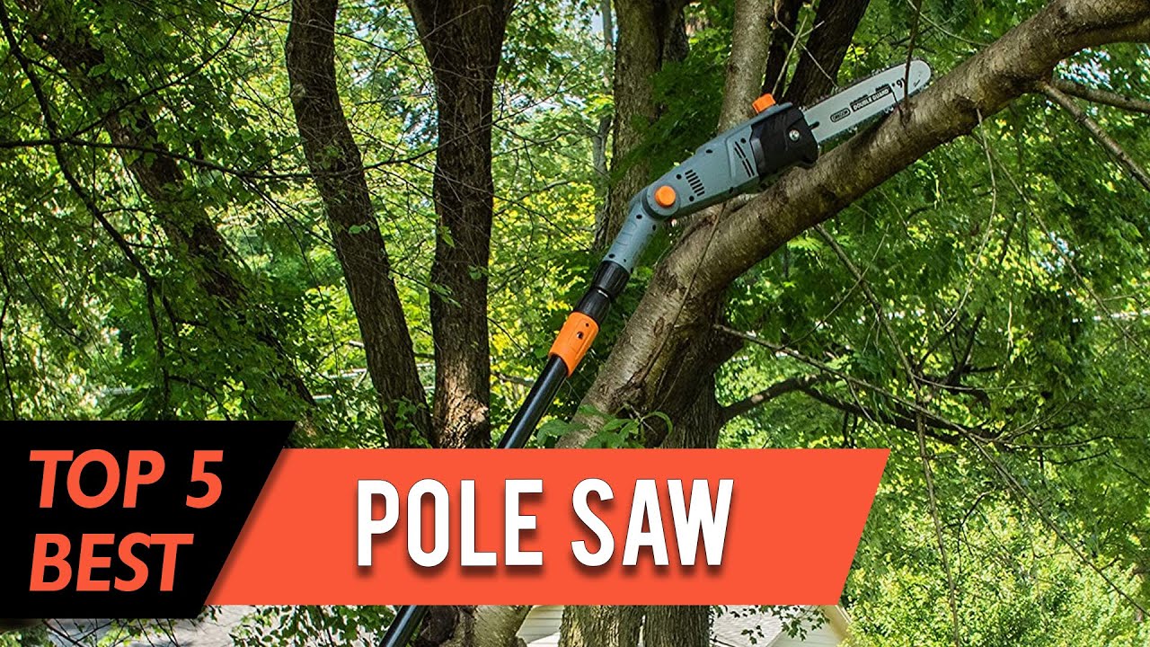 5 Best Pole Saws | Corded, Electric/Battery, Adjustable Head, Auto Chain Lubrication | Review 2023