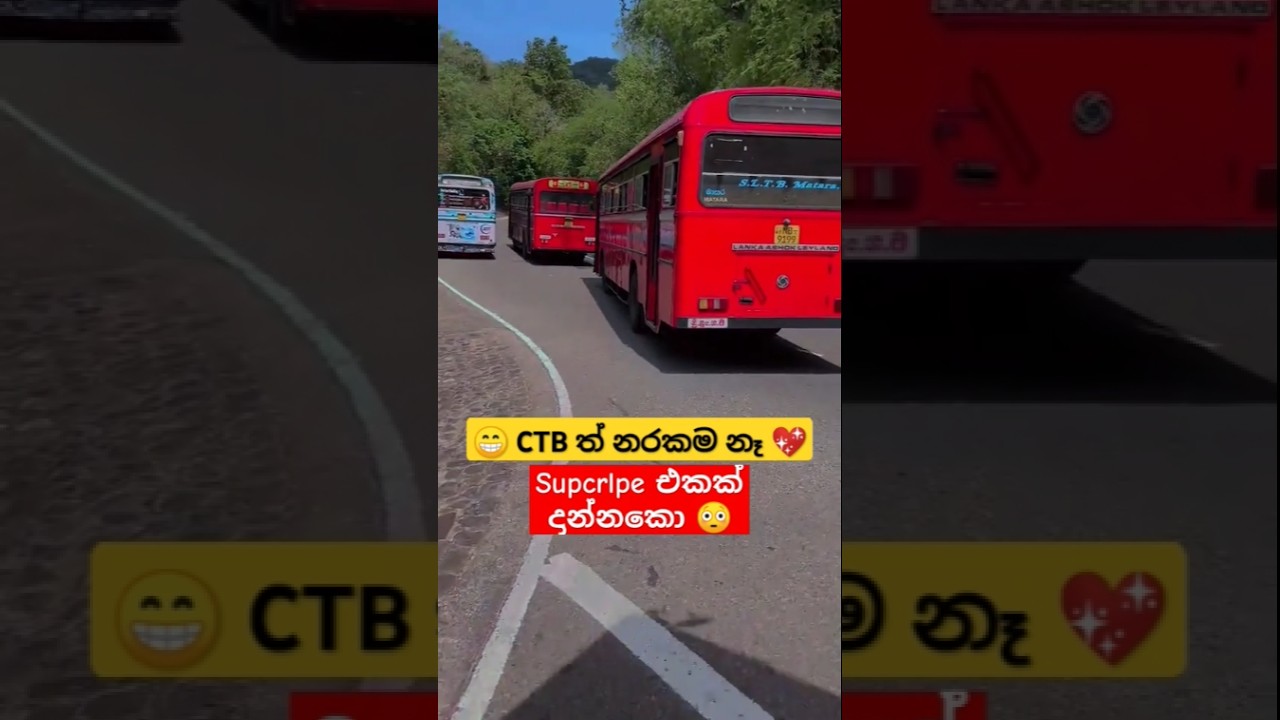😘 CTB ❤ #travel #automobile #tour #trip #bus #busrace #music #trending #driving #shortsfeed #shorts