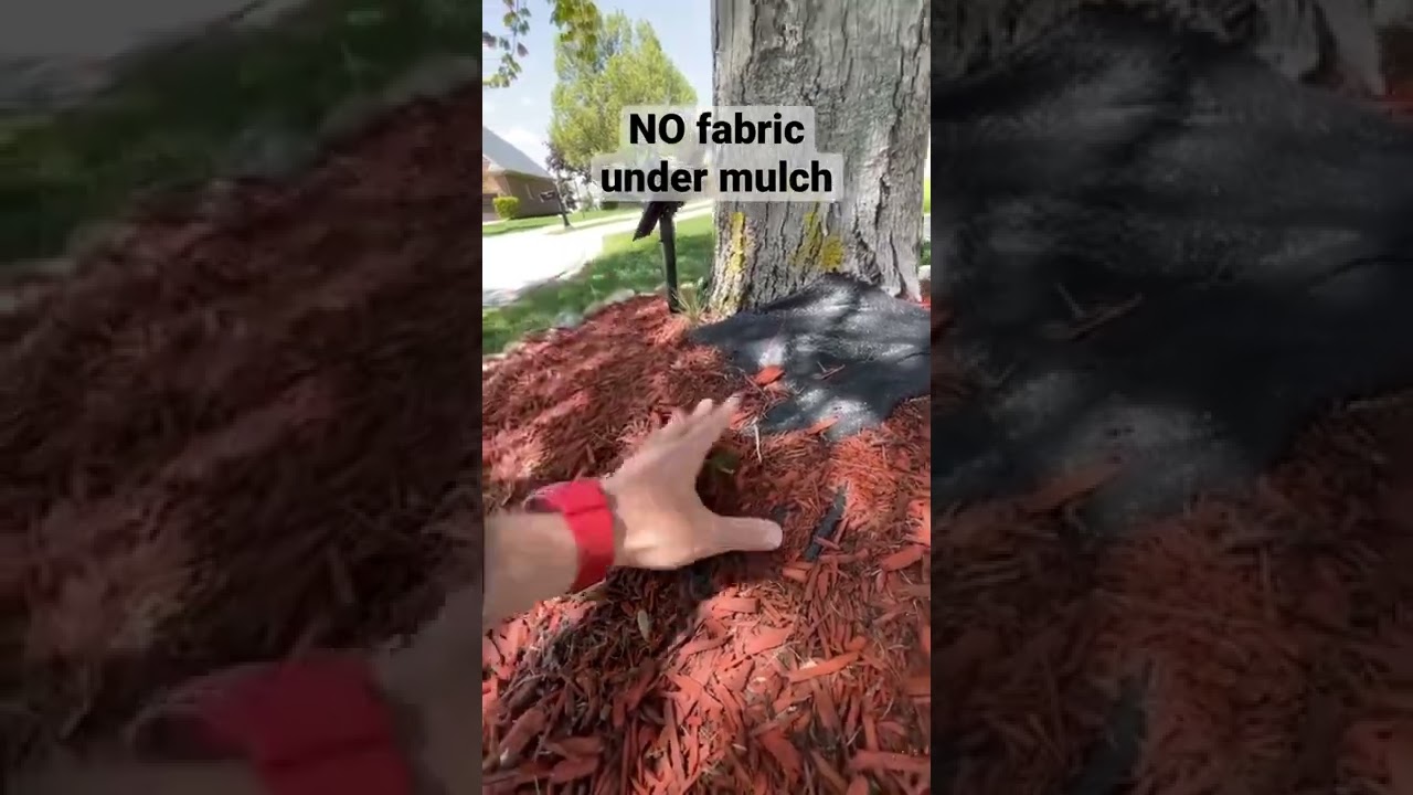 НЕ кладите ткань под мульчу