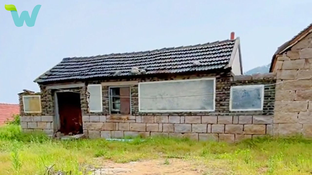 Single father returns to his hometown to renovate the old house and front yard for his daughter