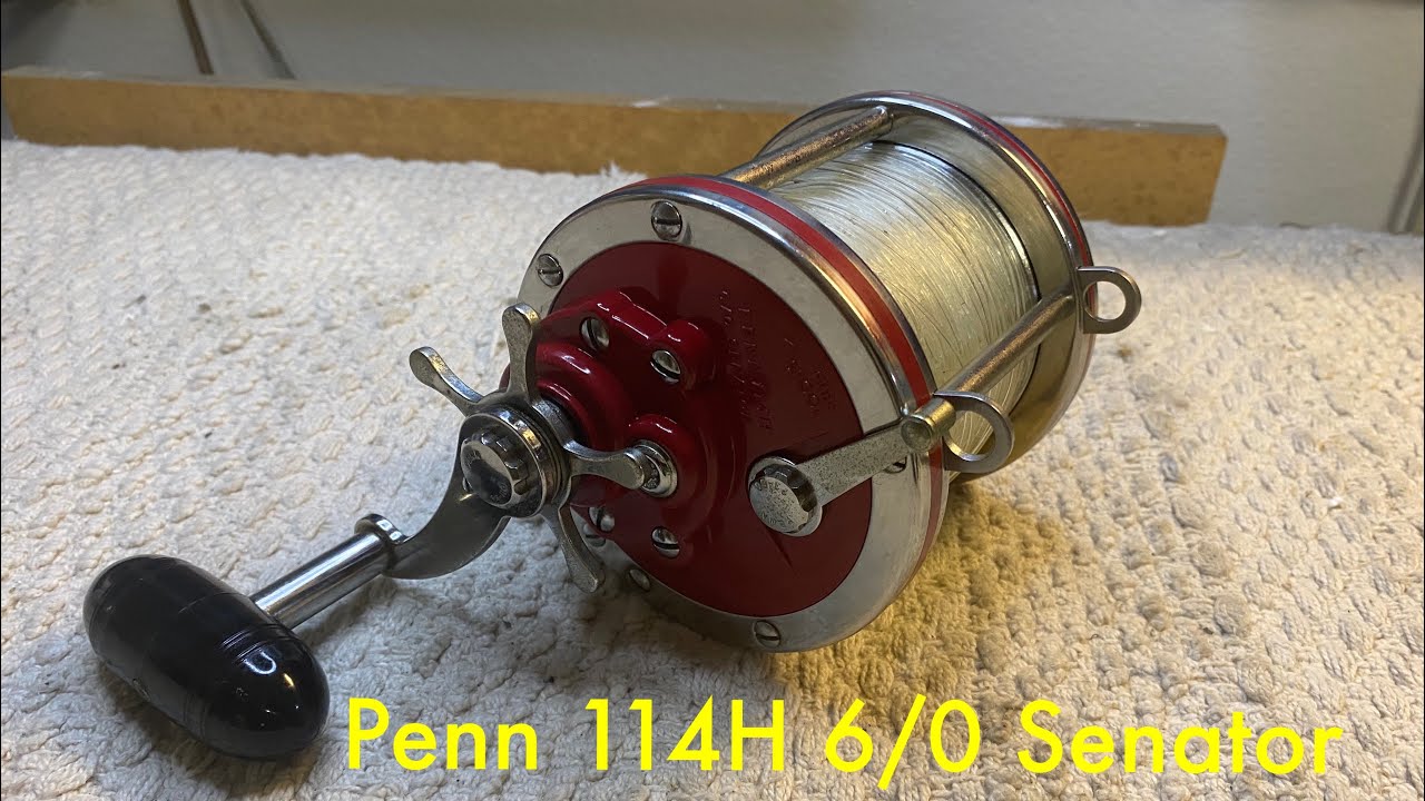 Penn 114H Special 6/0 Senator @thelefthandedshooter99￼￼