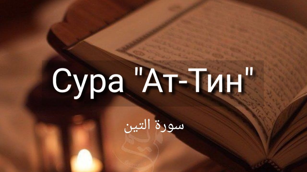 Выучите Коран наизусть | Каждый аят по 10 раз 🌼| Сура 95 