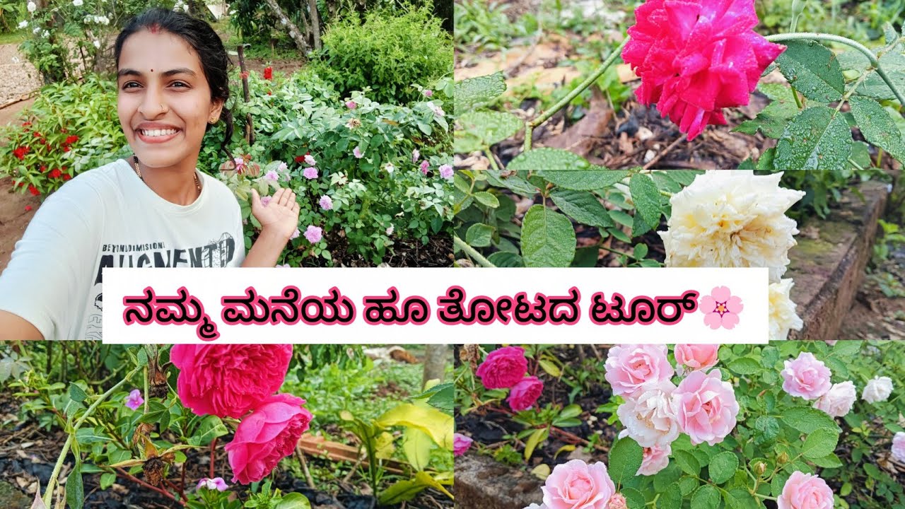 ನಮ್ಮ ಮನೆಯ ಹೂ ತೋಟದ ಟೂರ್🌸 Flower Garden tour💚