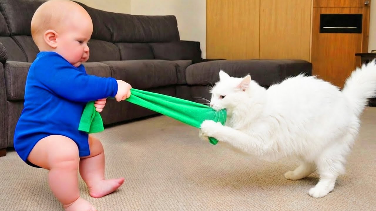 FUNNIEST BABIES and PETS Playing Together - Funny Baby and Cat Videos