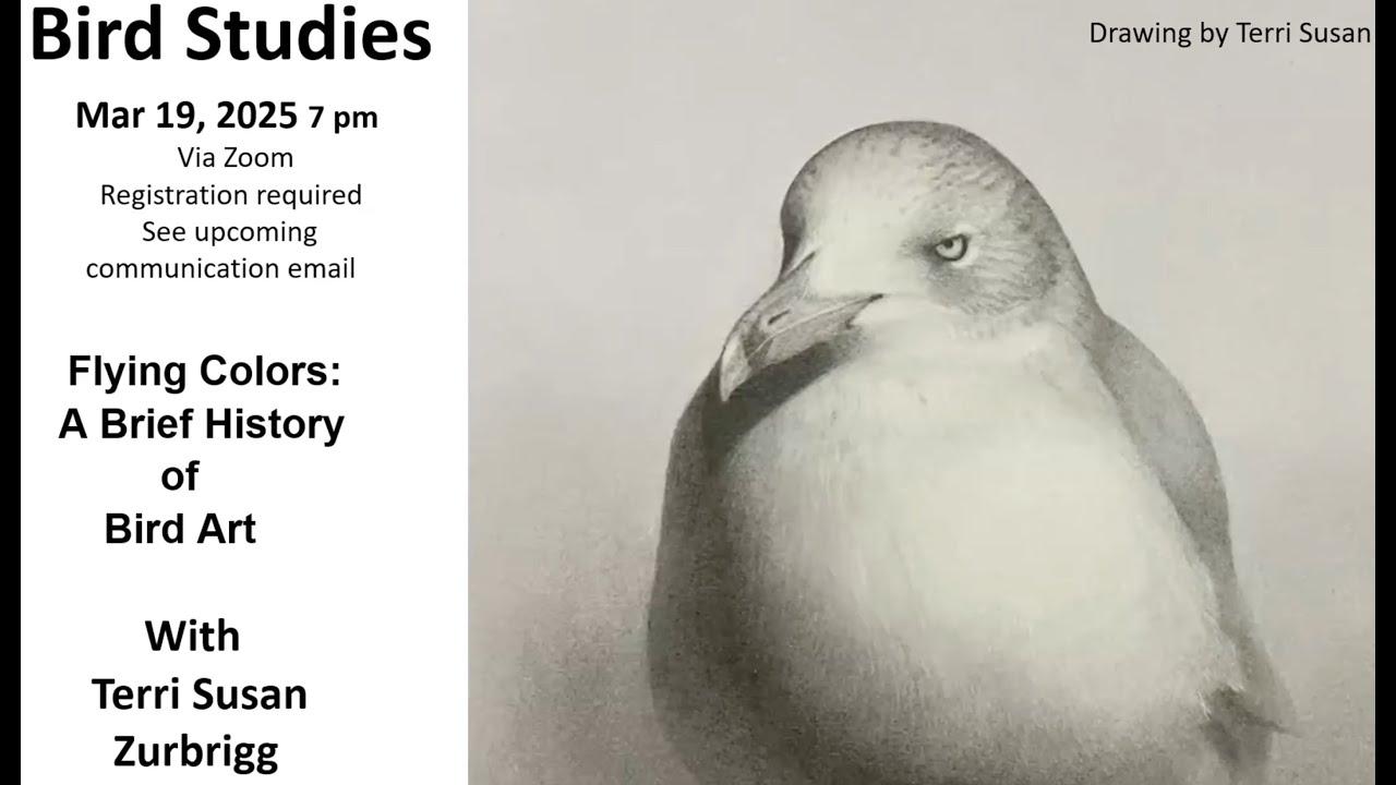 Flying Colours A Brief History of Bird Art 25.03.19