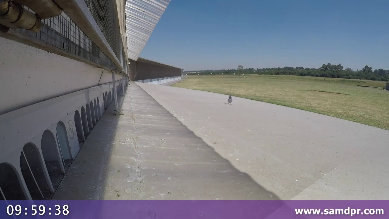 SAMDPR 2020 - Main Race Day 2 (1)