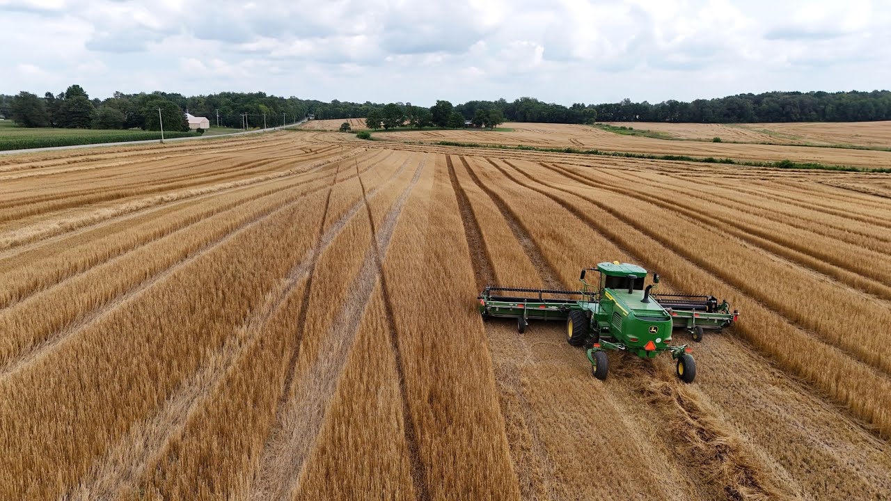 Wheat Harvest 2024