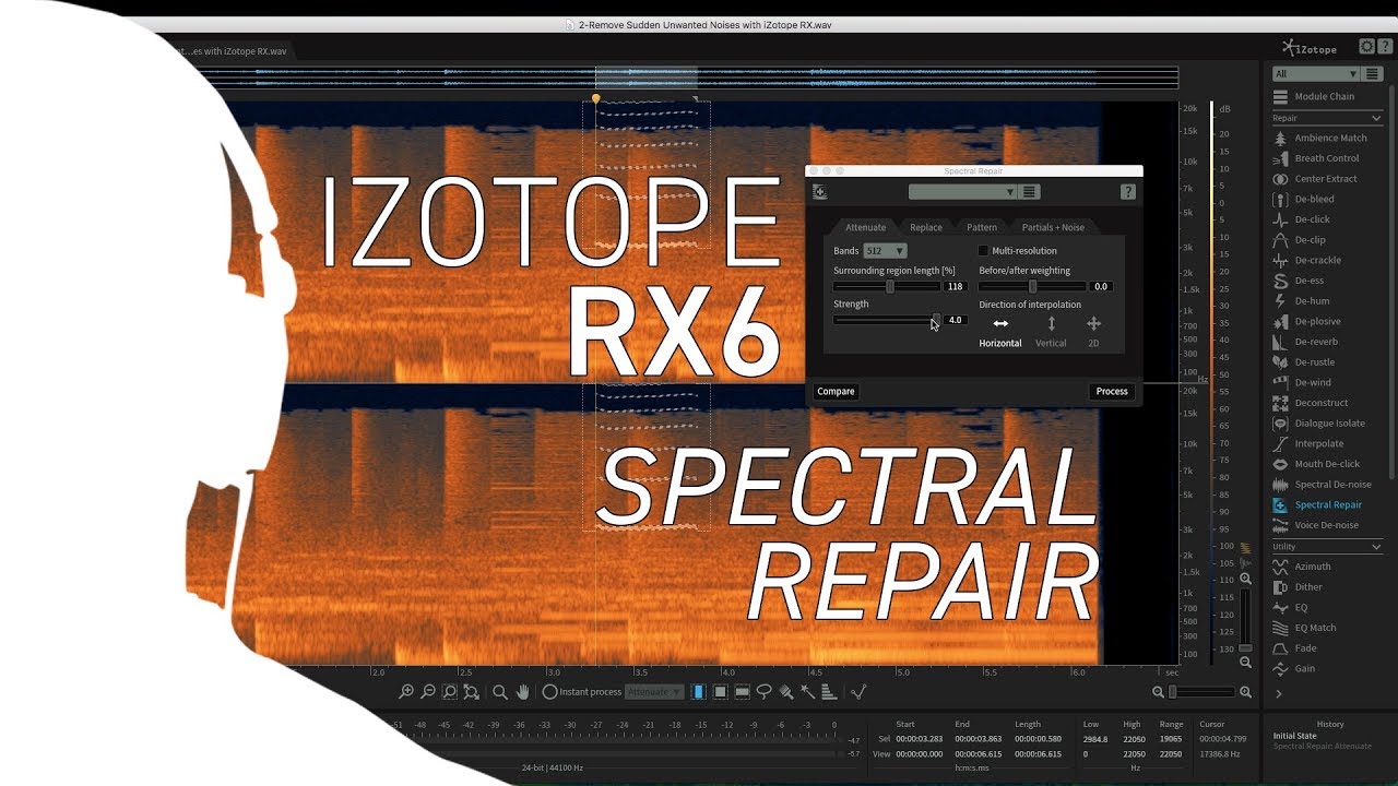 iZotope RX6 - Using Spectral Repair