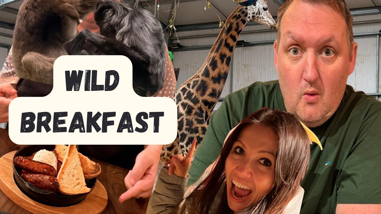 We went for WILD WEEKEND & walk at TWYCROSS ZOO 
