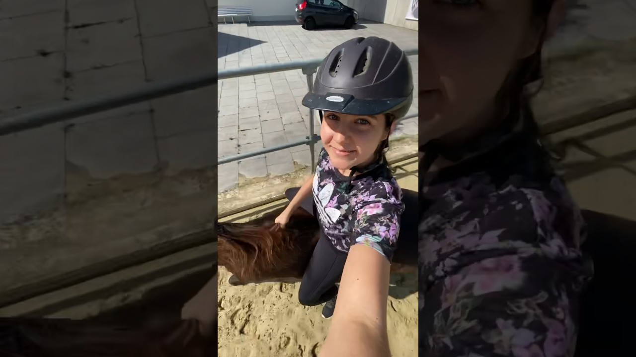 Mal ne andere Perspektive 😂 Geht ihr am Wochenende zum Stall? 💗 #equestrian