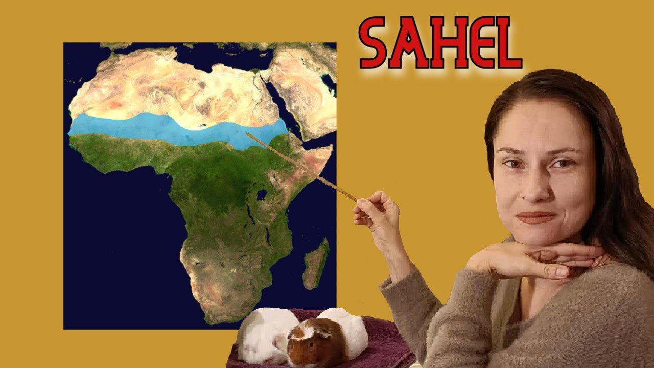 Rolnictwo Afryki. Sahel - położenie i gospodarka (geografia - lekcja dla klasy 8 online)