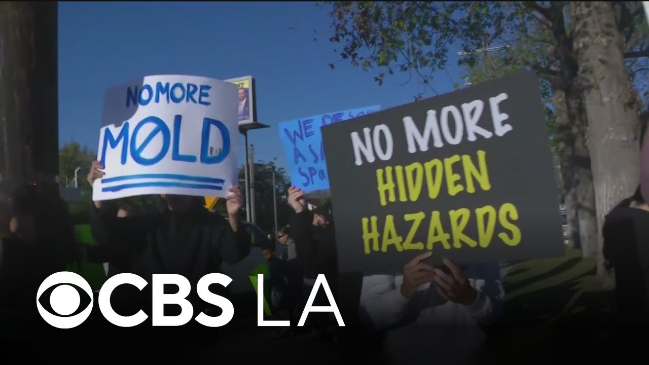 Students, parents protest outside Chatsworth Park Elementary School over mold concerns