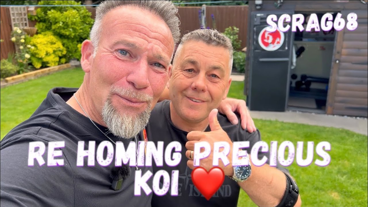 Re homing Precious Koi ❤️